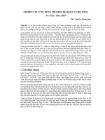 Nghiên cứu ứng dụng mô hình dự báo lũ cho sông vu gia, thu bồn   ths  nguyễn hoàng sơn