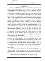 Tổ chức công tác kế toán bán hàng và xác định kết quả kinh doanh tại công ty cổ phần tập đoàn đầu tư thương mại công nghiệp việt á 