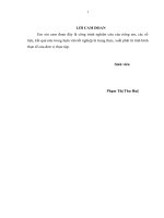 Hoàn thiện quy trình kiểm toán khoản mục hàng tồn kho trong kiểm toán báo cáo tài chính tại công ty TNHH kiểm toán và thẩm định giá việt nam 