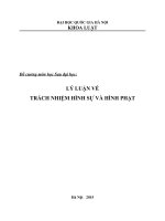 Đề cương môn học Sau đại học:  LÝ LUẬN VỀ TRÁCH NHIỆM HÌNH SỰ VÀ HÌNH PHẠT