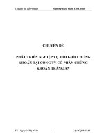 PHÁT TRIỂN NGHIỆP vụ môi GIỚI CHỨNG KHOÁN tại CÔNG TY cổ PHẦN CHỨNG KHOÁN TRÀNG AN