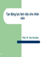 Bài giảng kỹ năng lãnh đạo và quản lý  tạo động lực làm việc cho nhân viên   PGS  TS  trần văn bình