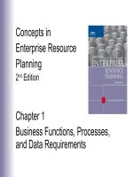 Lecture concepts in enterprise resource planning (2nd edition)   chapter 1  business functions, processes, and data requirements