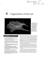 Tổ Chức Tế Bào giáo trình