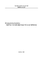 Đề cương môn học Sau đại học: NHỮNG VẤN ĐỀ HIỆN ĐẠI VỀ LUẬT HÌNH SỰ