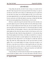 Hoàn thiện công tác kế toán bán hàng và xác định kết quả bán hàng tại công ty cổ phần đầu tư và kinh doanh thương mại VINACONEX 