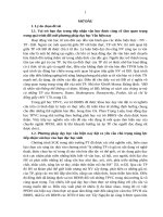 VAI TRÒ BẠN ĐỌC CỦA HỌC SINH (DÂN TỘC ÍT NGƯỜI  TÂY NGUYÊN) TRONG GIỜ HỌC TÁC PHẨM VĂN CHƯƠNG  Ở TRUNG HỌC PHỔ THÔNG