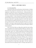 Một số vấn đề về kết cấu hạ tầng đô thị ở Việt Nam hiện nay – Thực trạng và giải pháp