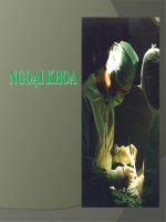 Ngoại khoa, ĐẠI HỌC Y HÀ NỘI