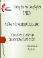 một số mô hình toán trong nghiên cứu môi trường