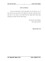 Giải pháp nâng cao hiệu quả hoạt động môi giới tại công ty trách nhiệm hữu hạn chứng khoán ngân hàng thương mại cổ phần việt nam thịnh vượng 