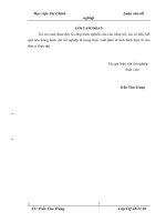 Tổ chức công tác kế toán bán hàng và xác định kết quả kinh doanh tại nhà máy BIBICA  chi nhánh công ty cổ phần BIBICA 