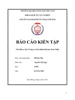 BÁO cáo KIẾN tập tìm hiểu sơ bộ về công ty trách nhiệm hữu hạn nam thiện  