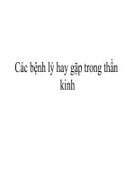 Các bệnh lý hay gặp trong thần kinh