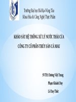 SLIDE THUYẾT TRÌNH đề tài   KHẢO sát hệ THỐNG xử lý nước THẢI của CÔNG TY cổ PHẦN THỦY sản cà MAU