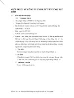 GIỚI THIỆU VỀ CÔNG TY TNHH TƯ VẤN NGỌC LỤC BẢO