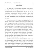 Một số giải pháp tài chính chủ yếu nhằm nâng cao hiệu quả tổ chức, sử dụng vốn kinh doanh ở công ty TNHH phát triển kỹ thuật việt nam  