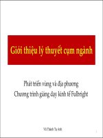 Bài giảng giới thiệu lý thuyết cụm ngành   vũ thành tự anh