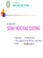 Chương IV. Tính cảm ứng và thích nghi của sinh vật