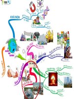 SINH HỌC 9  Bài 54: Ô NHIỄM MÔI TRƯỜNG: Ô nhiễm do các chất thải rắn