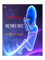 Sự Phát Triển HỆ NIỆU DỤC - Bài Giảng Phôi Thai Học, BS PHẠM VĂN TOẠI