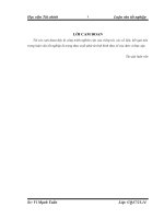 Kế  toán nguyên vật liệu tại công ty cổ phần bia – rượu nước giải khát viger 