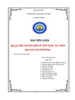 ĐỘC QUYỀN điện ở VIỆT NAM  sự THẤT bại của THỊ TRƯỜNG