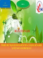 TÌM HIỂU THỰC TRẠNG HỆ SINH THÁI RỪNG THƯA CÂY HỌ DẦU (RỪNG KHỘP) TẠI VIỆT NAM VÀ GIẢI PHÁP QUẢN LÝ