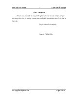 Hoàn thiện kế toán tập hợp chi phí sản xuất và tính giá thành sản phẩm tại công ty TNHH MTV truyền thông vietpictures 