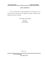 Tổ chứccông tác kế toán bán hàng và xác định kết quả kinh doanh tạicông ty TNHH hóa bách khoa 