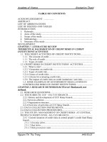 Credit risks at central people’s credit fund hatay branch and some solutions to minimize that