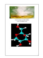 CHUYÊN ĐỀ BỒI DƯỠNG HỌC SINH GIỎI HOÁ LÝ THUYẾT VÀ BÀI TẬP