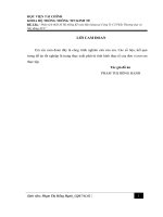 Phân tích thiết kế hệ thống kế toán bán hàng tại công ty cổ phần thương mại và xây dựng ACC 