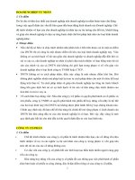 Ưu nhược điểm của các loại hình công ty
