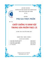 CHẤT CHỐNG VI SINH VẬT TRONG SẢN PHẨM THỊT, CÁ