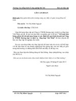 Kế toán bán hàng, phân bổ chi phí mua hàng và xác định kết quả kinh doanh tại công ty TNHH thương mại và dịch vụ  tổng hợp việt nhật 