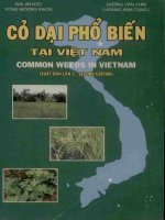 Cỏ dại phổ biến tại việt nam 