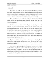 Tiểu luận Xây dựng hệ thống quan trắc chất lượng nước sông Sài Gòn từ Thủ Dầu Một đến hạ lưu