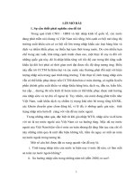 Giải pháp kinh tế   tài chính giảm nhập siêu nhằm đảm bảo an toàn nợ nước ngoài của việt nam 