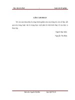 Tổ chức kế toán nguyên vật liệu ở công ty CP đầu tư xây dựng ECON 