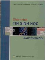 Giáo trình tin sinh học 