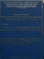 Tuyển chọn phát triển giông lúa cực sớm để tham canh tăng vụ né lũ né mặn cho tỉnh trà vinh 