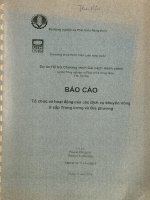 báo cáo tổ chức và hoạt động của các dịch vụ khuyến nông ở cấp trung ường và địa phương 