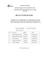 NGHIÊN CỨU ẢNH HƯỞNG CỦA ĐỘ MẶN LÊN KHẢ NĂNG HẤP PHỤ P DỄ TIÊU TRONG ĐẤT TRỒNG LÚA