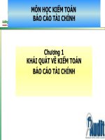 Slide: Chương 1 KHÁI QUÁT VỀ KIỂM TOÁN  BÁO CÁO TÀI CHÍNH