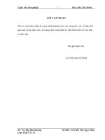 Kế toán chi phí sản xuất và  giá thành sản phẩm tại công ty TNHH cơ khí điện hoá tiến việt 