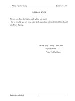 Vốn lưu động và các giải pháp tài chính nâng cao hiệu quả tổ chức, quản lý và sử dụng vốn lưu động tại Công ty CP Bánh kẹo cao cấp Hữu Nghị