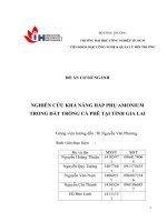 NGHIÊN CỨU KHẢ NĂNG HẤP PHỤ AMONIUM TRONG ĐẤT TRỒNG CÀ PHÊ TẠI TỈNH GIA LAI