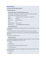 Hướng dẫn định dạng luận văn