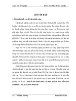 Một số giải pháp nâng cao hiệu quả sử dụng vốn kinh doanh tại công ty cổ phần đông đô 